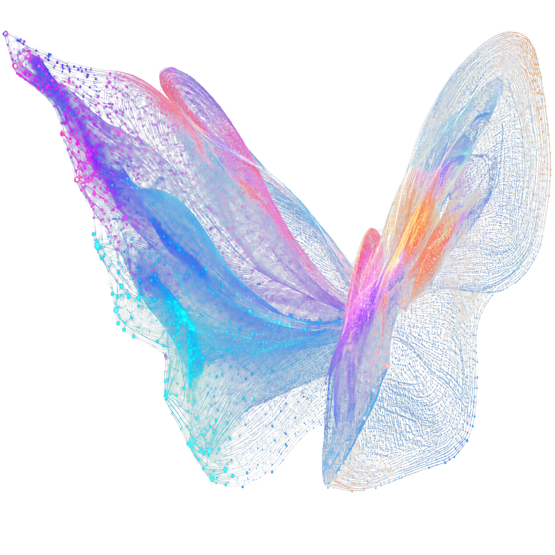 Abstract OOZLE butterfly